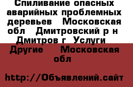 Спиливание опасных аварийных проблемных деревьев - Московская обл., Дмитровский р-н, Дмитров г. Услуги » Другие   . Московская обл.